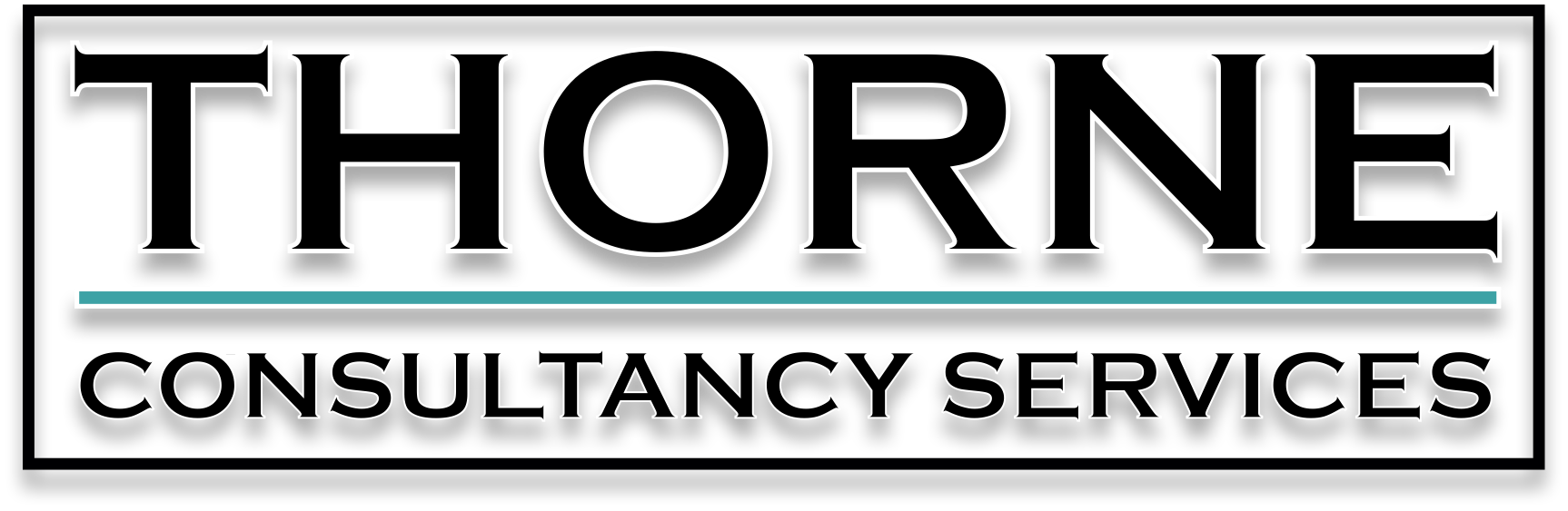 Thorne Consultancy Services